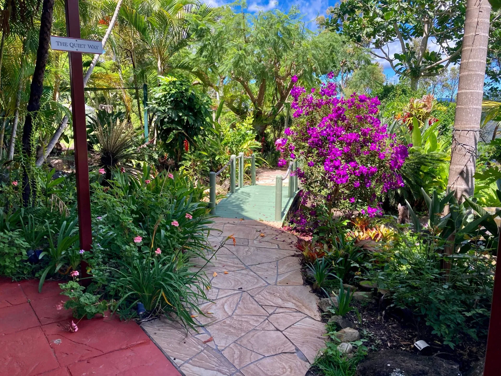 Established garden with mature planting and lawn